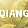 Qiang SHENG