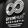 hub stem