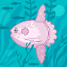 Flying fish fish